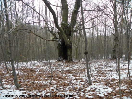 Skrýša
