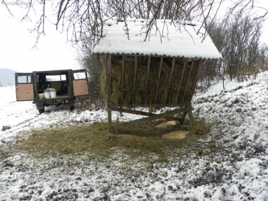 Dnešné prikrmovanie