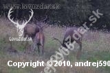 Jelení kúpeľ-ll-2009