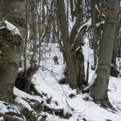 Čo to tam odchádza