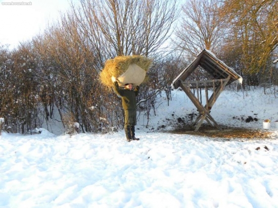 Prišlo zásobovanie