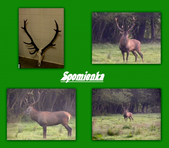 Spomienka