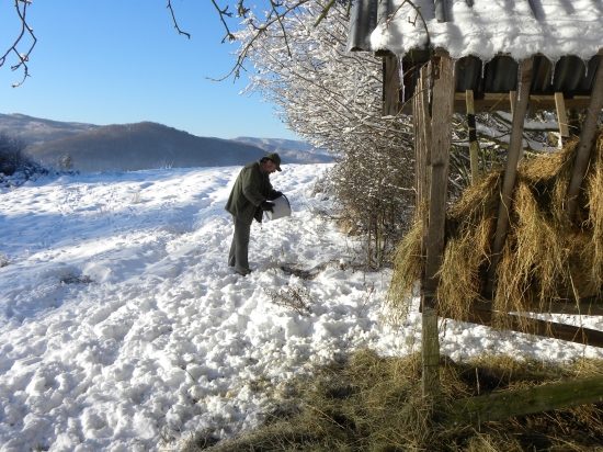 Dnešné prikrmovanie