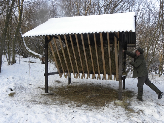 Dnešné prikrmovanie
