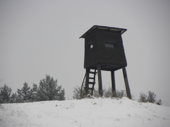 Posed najstaršieho člena