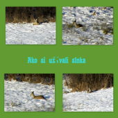 Ako si užívali slnka