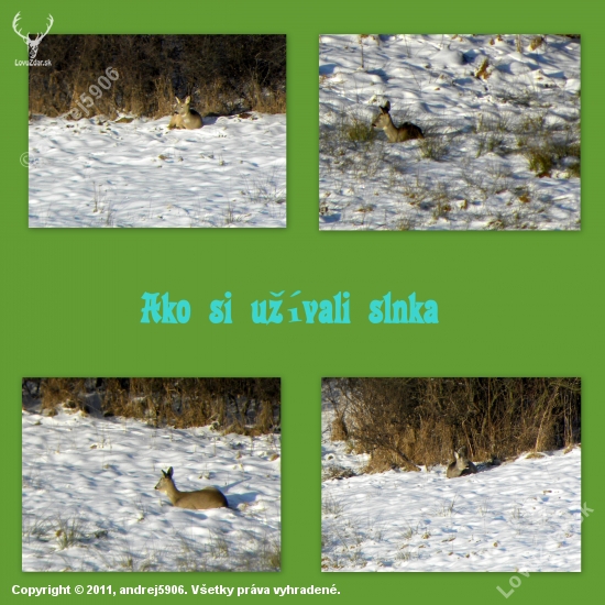 Ako si užívali slnka