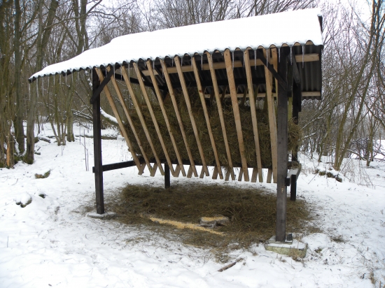 Dnešné prikrmovanie