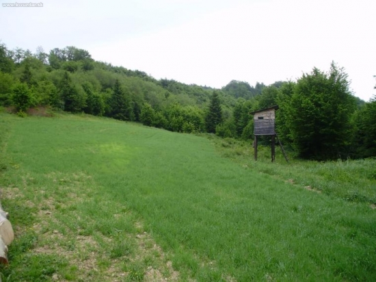 poličko mojej skupiny