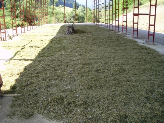 už len dosušiť a uskladniť