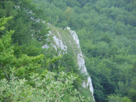 folkmarske kamzíky 2