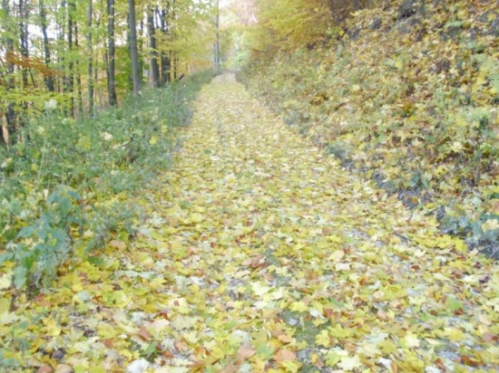 krasna jesen