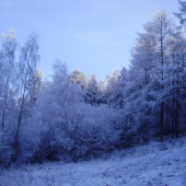 aj zima ma svoje caro