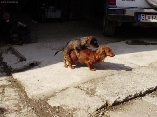 tak z toho aj tak nic nebude