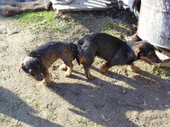 ale z tochto uz nieco bude