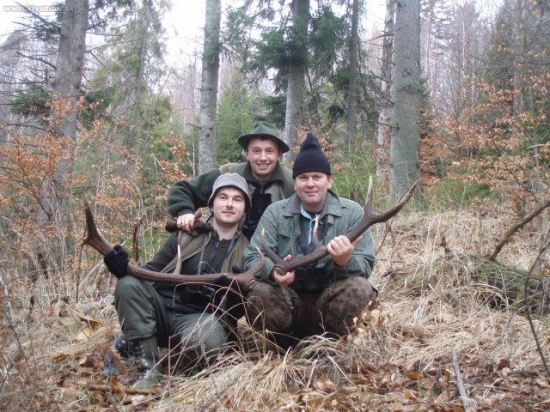 3 muškatiery na potulkach lesom...