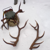 februarové doobedie