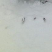 na luke a skoro tam ostal