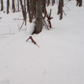 pohlad od neho k lezovisku...