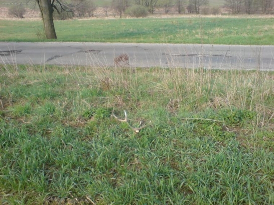 niekedy je zdravsie ist pesi...