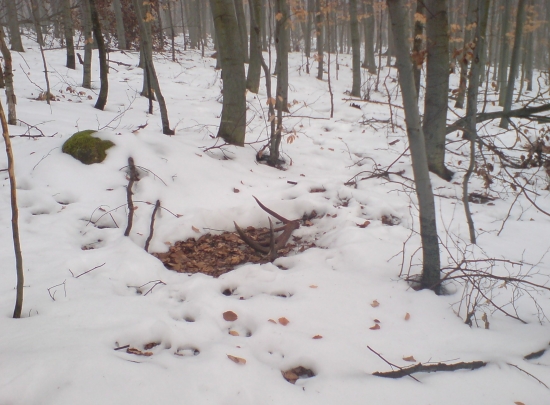 hmmm zas si neupratal postel:)