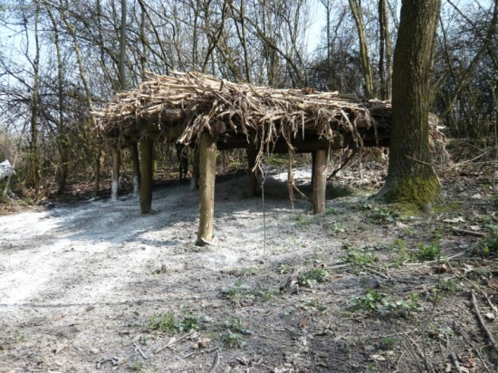 ...jarná dezinfekcia...