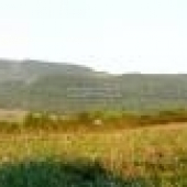 naš poľovný revír