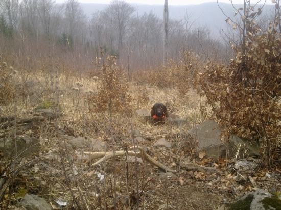 ...keď sa šťastie unaví...    ;)