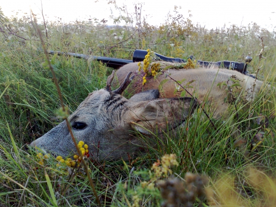 Dva tyždne ma tahal za nos...