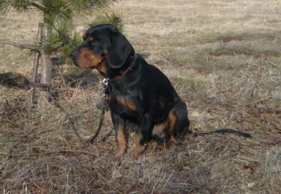 ...pohľad do diaľky...