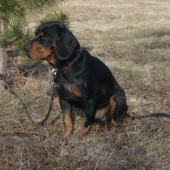 ...pohľad do diaľky...