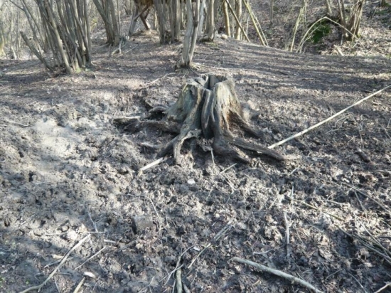 ...nie za každú cenu nové,ale plné ....