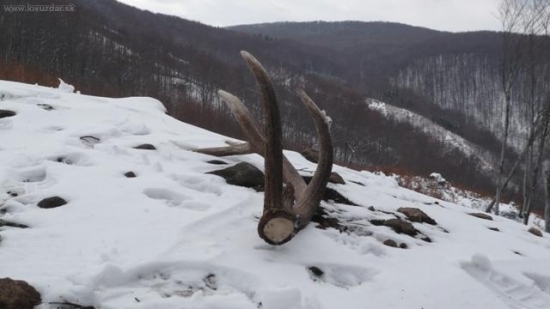 ...12-torák...2 kg...