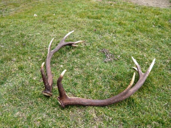 Dargov-Vlčia luka (1,70a1,67)