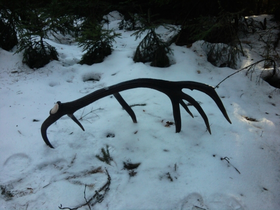 Srdiecko zaplesalo :):