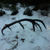 Srdiecko zaplesalo :):