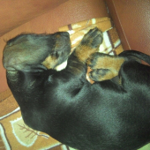 oddych:)
