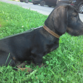 Monty 4 mesiace