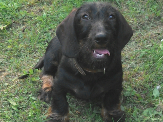 Monty 4 a pol mesiaca :)