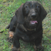 Monty 4 a pol mesiaca :)