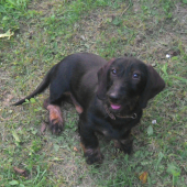 Monty