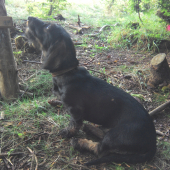 Caka kedy zidem z  posedu :)