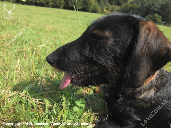 Monty :)