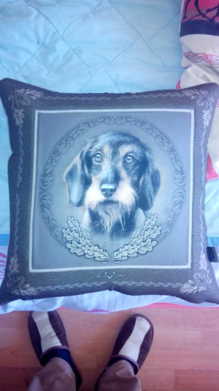 To sa mi bude spat s jasvecikom pod hlavou :)