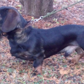 Monty 9 mesiacov