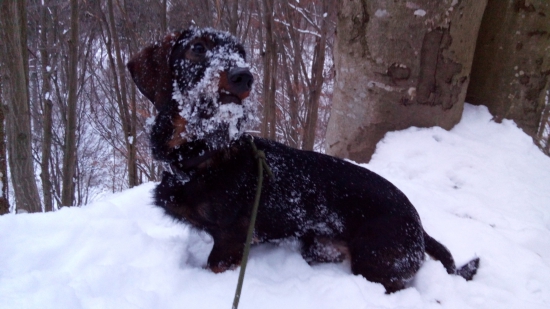 Dofrasa nestihol som ich :)