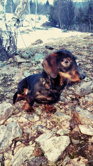 Monty 10 mesiacov :)