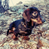 Monty 10 mesiacov :)