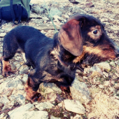Monty pózuje :)