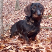 Monty